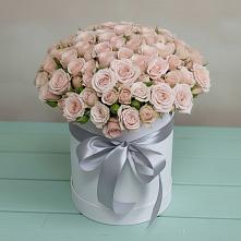 Цветочная композиция из Розы в шляпной коробке в Бабаюрте