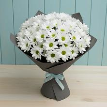 Букет цветов из:  Хризантемы в Бабаюрте
