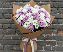 Букет цветов из:  Хризантемы #REPLACE_PRED# Бабаюрте