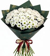 Букет цветов из:  Хризантемы в Бабаюрте