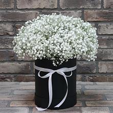 Цветочная композиция из Гипсофила в шляпной коробке #REPLACE_PRED# Бабаюрте