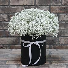 Цветочная композиция из Гипсофила в шляпной коробке в Бабаюрте