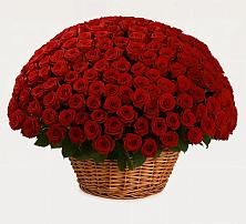 Премиум букет из: Розы в Бабаюрте