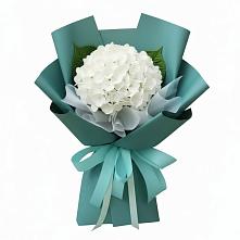 Букет цветов из:  Гортензия в Бабаюрте